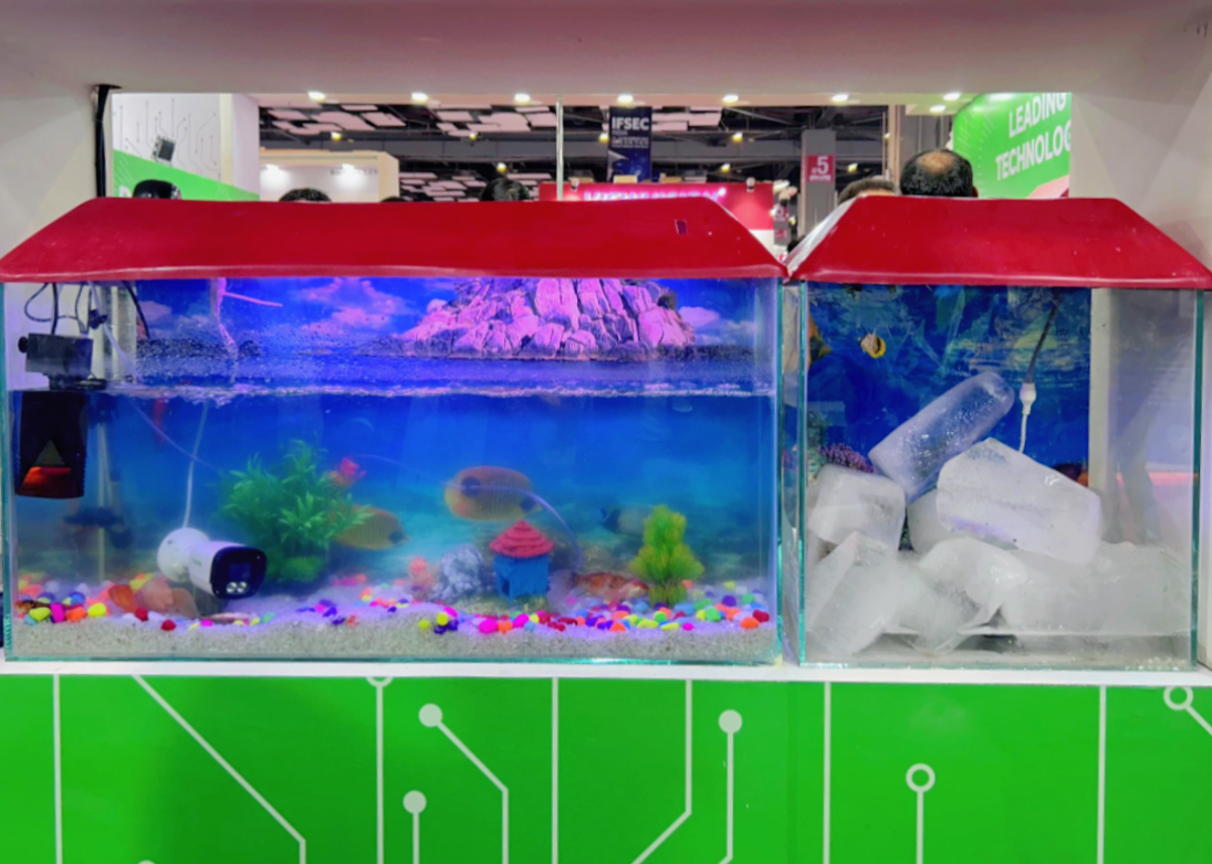 ��������(�й���) - �ٷ���վ