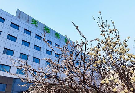 ��������(�й���) - �ٷ���վ