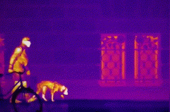 ��������(�й���) - �ٷ���վ